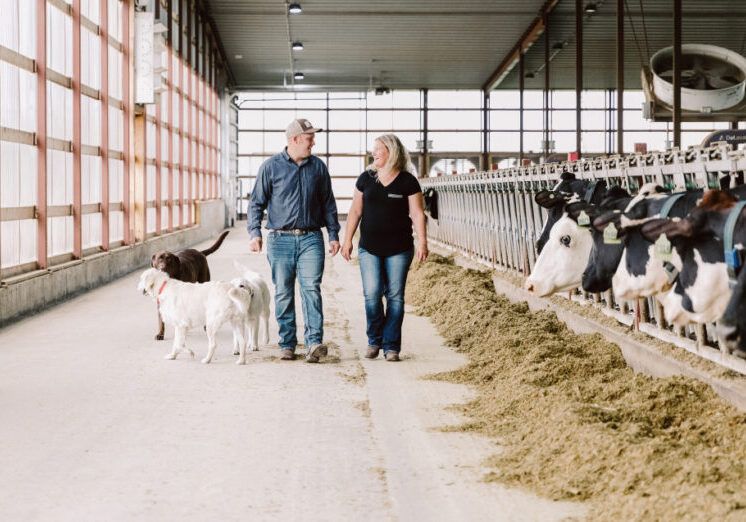 Minglewood Farm barn