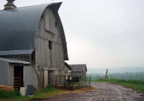 O’Dovero and Flesia Farm & Meat Market barn