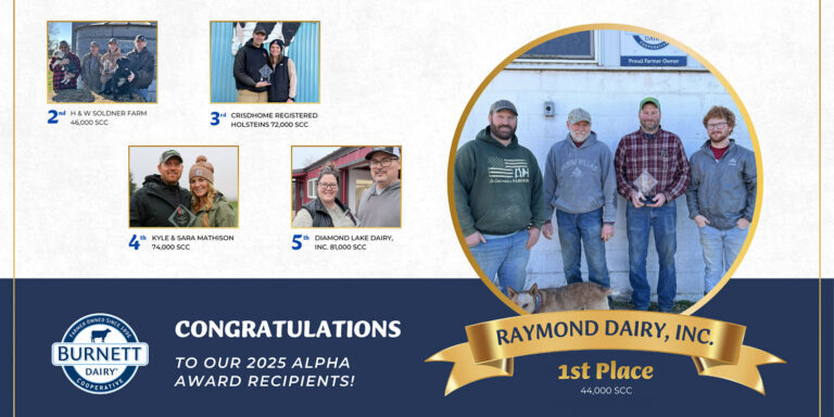 Web-News-2025-Alpha-Awards